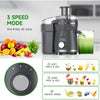 500W Juicer Machine – Wide Mouth Stainless Steel